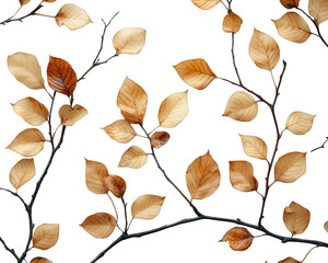 Dried leaves pattern on black background