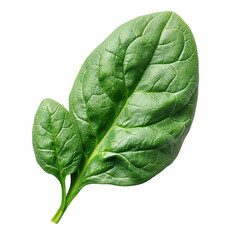 Obraz premium Fresh spinach leaf isolated on black background for healthy eating and lifestyle concepts usage on transparent background