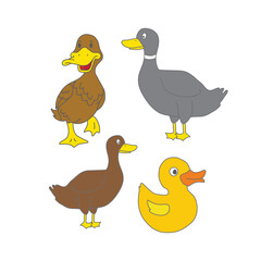 Hand-Drawn Duck Vector Illustration