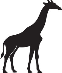 a masai giraffe