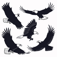 Vector illustration of a falcon or hawk silhouette, clean and bold for graphic or branding use.