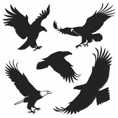 Eagle or hawk in black silhouette form, ideal for logos, icons, or graphic vector elements.