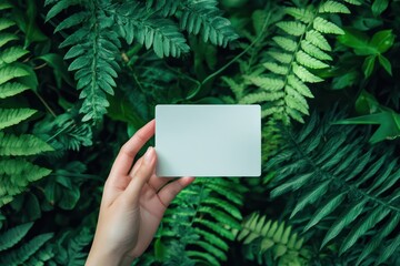 Hand holding blank business card on clean background