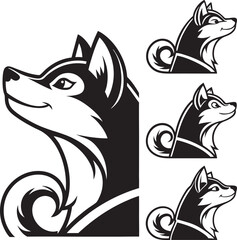 black and white wolf