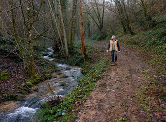 Fototapeta premium man meditating walking in the middle of the forest with a stream in a natural landscape