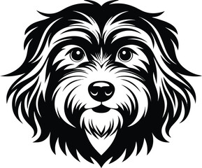 dog, animal, white, head, vector, lion