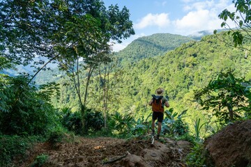 hiker in the mountains in jungle walkink in trek to ciudad perdida lost city in sierra nevada of...