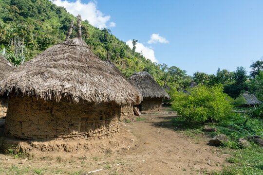 traditional hut in the village of tayrona kogui people in sierra nevada of santa marta in colombia am&eacute;rica 
