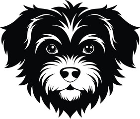 dog, animal, white, head, vector, lion