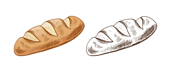 Hand drawn vintage sketch of rustic bread loaf with slashes in color and monochrome version, isolated vector illustration