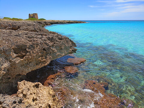 A spectacular panoramic view of a rocky coast with tourquoise blue sea and a coastal tower on the background, Puglia, Salento, Italy - Powered by Adobe