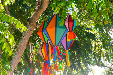 Colorful traditional decorative banners or streamers hanging from tree branches during a cultural festival in Caruaru.