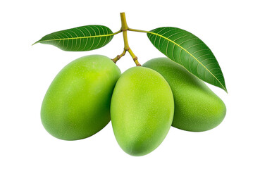 Raw Mango Bunch Green Free PNG and Clipart