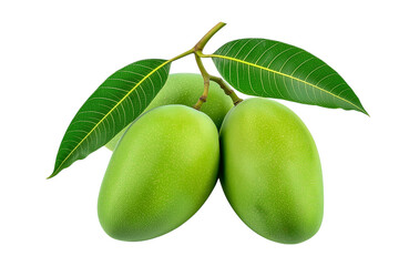 Raw Mango Bunch Green Free PNG and Clipart