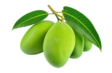 Raw Mango Bunch Green Free PNG and Clipart