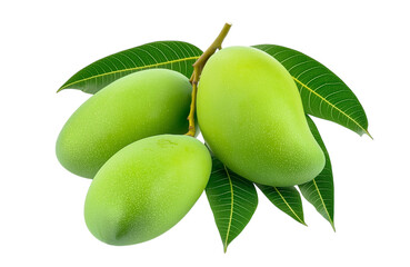 Raw Mango Bunch Green Free PNG and Clipart