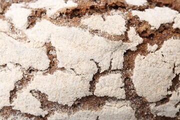Tasty fresh rye bread as background, closeup