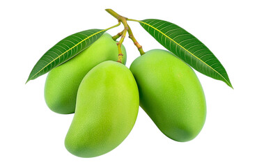 Raw Mango Bunch Green Free PNG and Clipart