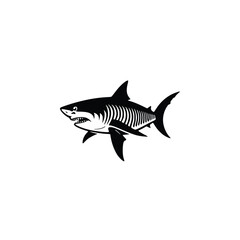 Shark with visible skeleton isolated on white background. Silhouette Art
