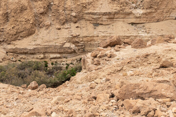 The unrivaled  splendor of the nature in Arugot Stream Nature Reserve near the Dead Sea in the southern Israel