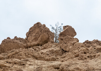 Lonely  dry tree grows between the boulders in Arugot Stream Nature Reserve near Dead Sea in southern Israel