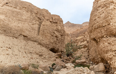 The extraordinary  splendor of a nature in Arugot Stream Nature Reserve near Dead Sea in southern Israel