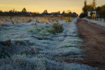 Sunrise over a frozen field