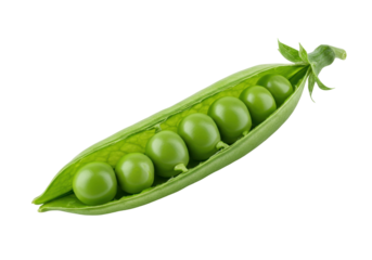 Single pea pod with green peas against a dark background