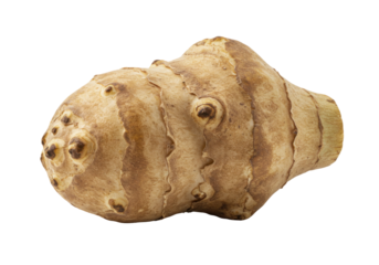 Single jerusalem artichoke food closeup