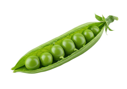Single pea pod with green peas against a dark background