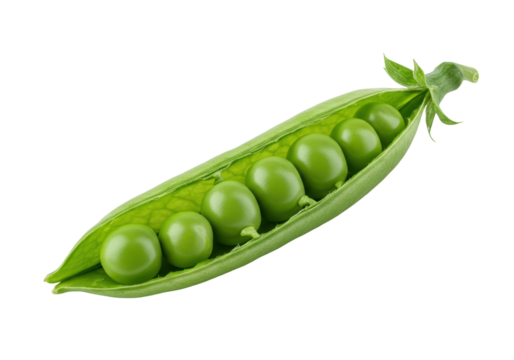 Single pea pod with green peas against a dark background