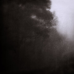 Grunge nature wallpaper, scary forest