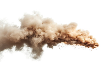 Powerful Dust Cloud: A massive plume of dust and debris billows outward, an imposing spectacle of force and nature.