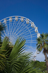 white ferris wheel and palm trees against blue sky 