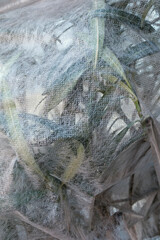 plant wrapped with frost protection fleece