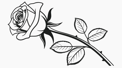 vector illustration of a rose