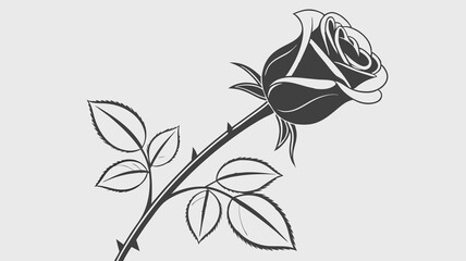 black and white flower