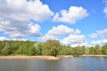 Fototapeta premium Scenic view of a lake with trees, sky and clouds wallpaper