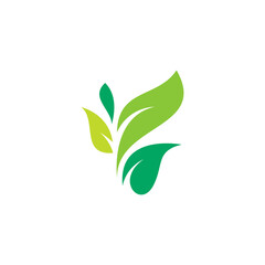 Nature Leaf Logo Vector Illustration. Leaves Icon Design
