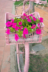 pink bicycle with a basket of flowers