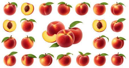 A collection of realistic peach illustrations, including whole peaches with fuzzy skin and green leaves, halved peaches showing the yellow flesh and pit, and peach slices.