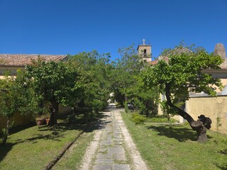 An avenue among the crops of an ancient monastery of Visciano, in the province of Naples, Italy.