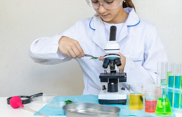 Laboratory research test tubes reagents and microscope. Selective focus.