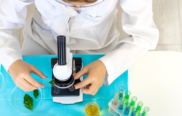Laboratory research test tubes reagents and microscope. Selective focus.