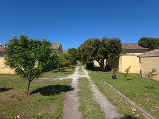 An avenue among the crops of an ancient monastery of Visciano, in the province of Naples, Italy.
