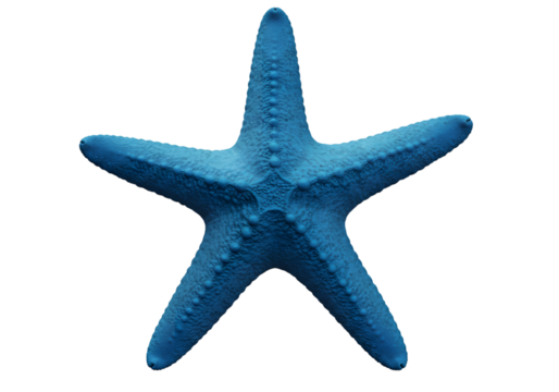 Striking Five-Arm Blue Sea Star with Textured Skin Isolated on PNG Background.