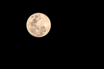 Fototapeta premium Very bright full moon on full moon day in the sky