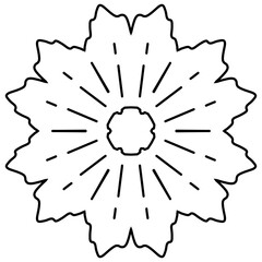 floral blossom vector icon illustration