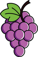 Grapes colour vector art