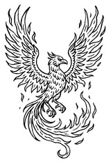 Fire Grunge Broken Doodle Phoenix Bird Doodle Line Art Work